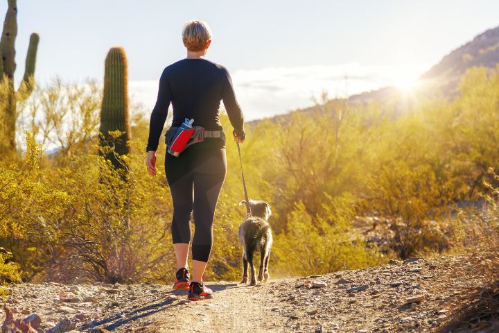 Things To Do Scenic Trails & Dog-Friendly Hikes